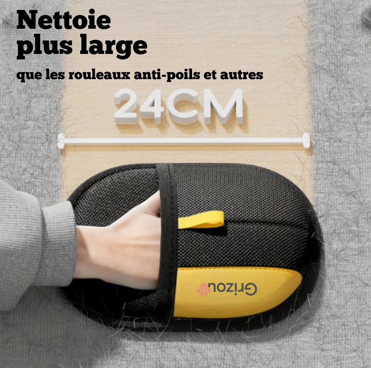 image-11-fr