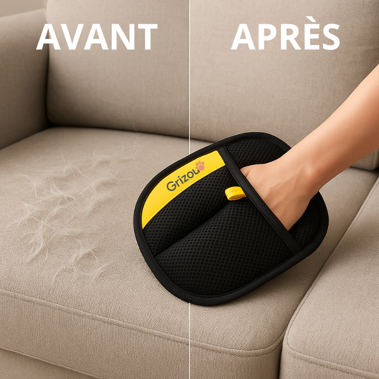 image-4-fr