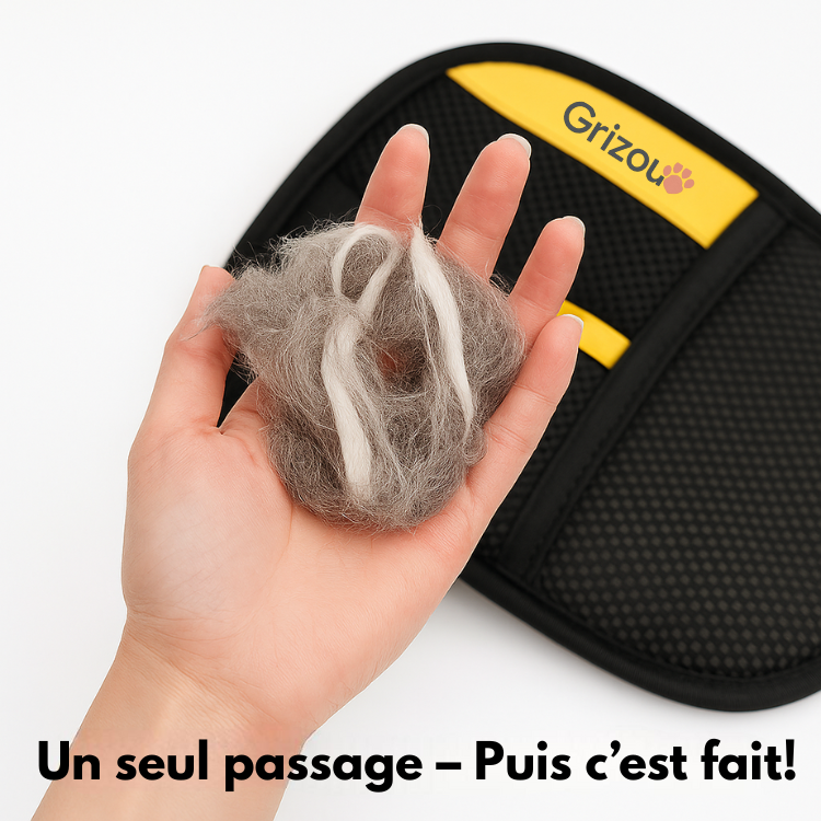 image-25-fr